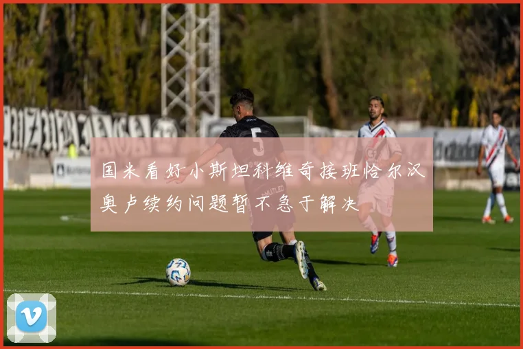 国米看好小斯坦科维奇接班恰尔汉奥卢续约问题暂不急于解决